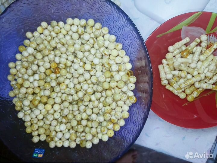 Янтарные шарики титан