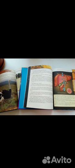 Книги энциклопедии 2шт