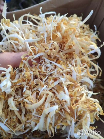 Стружка фруктового дерева