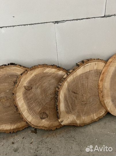 Срезы белого клена