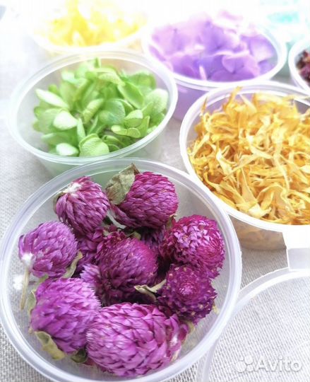 Сухоцветы для творчества, для свечей