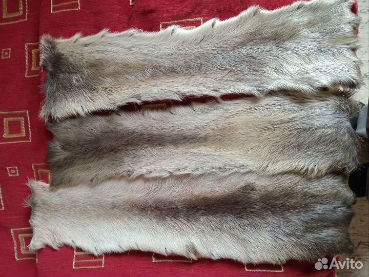 Камус лосиный