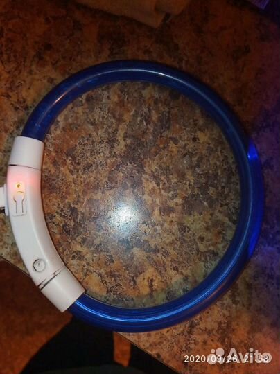 Ошейник для собак