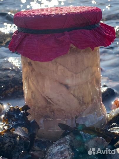 Печень трески стекло