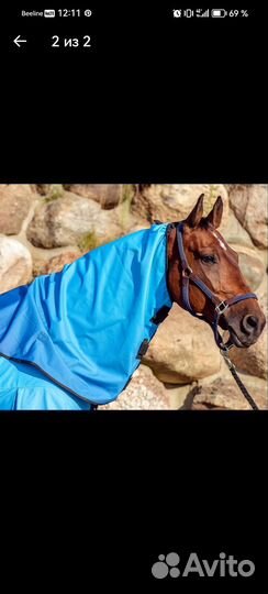 Попоны для лошади