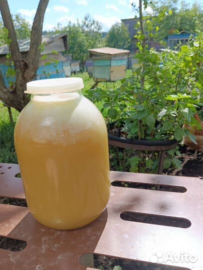 Липовый мед