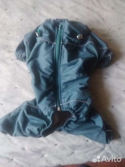 Комбинезон для собаки мопс, Франц.бульдог