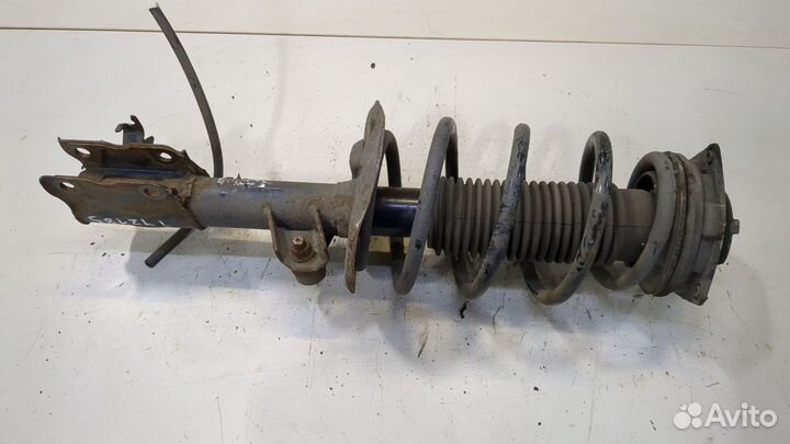 Амортизатор подвески Nissan Qashqai, 2012