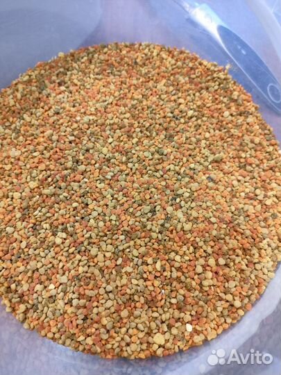 Пыльца пчелиная 2024г