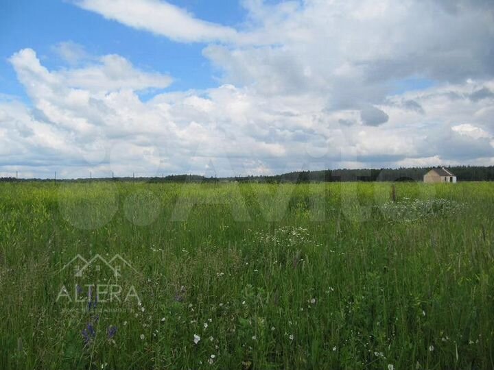 Участок 6,5 сот. (ИЖС)