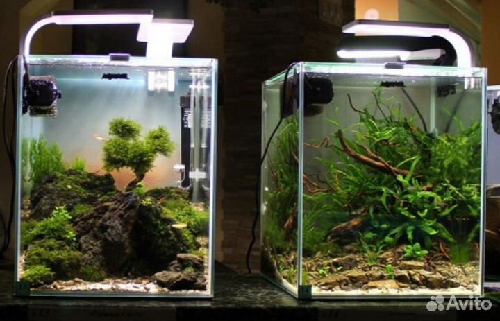 Аквариумы на заказ под ключ