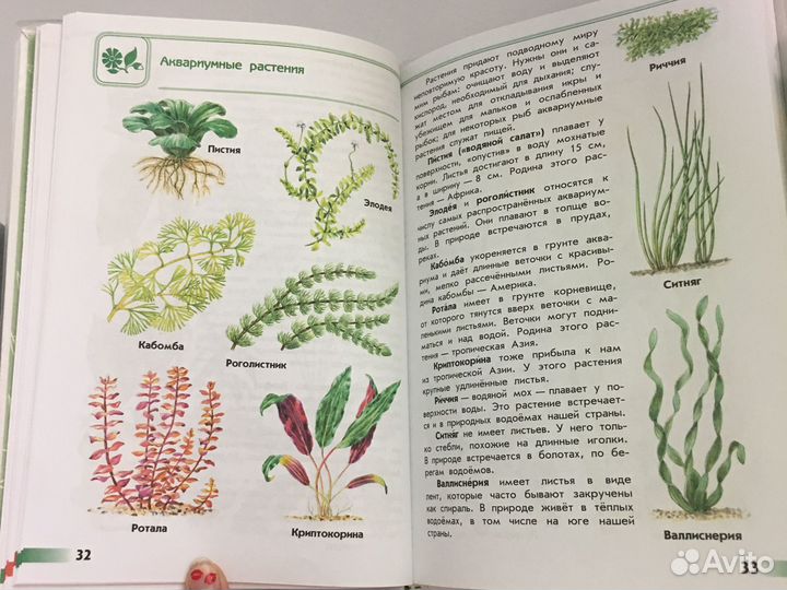 Книги по окружающему миру