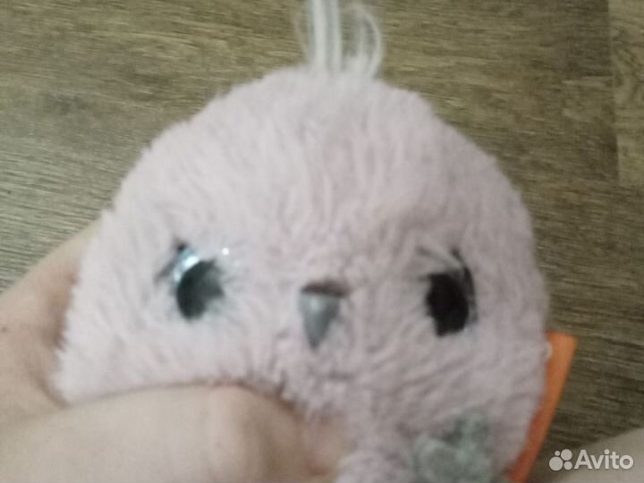 Продаю ципленочка