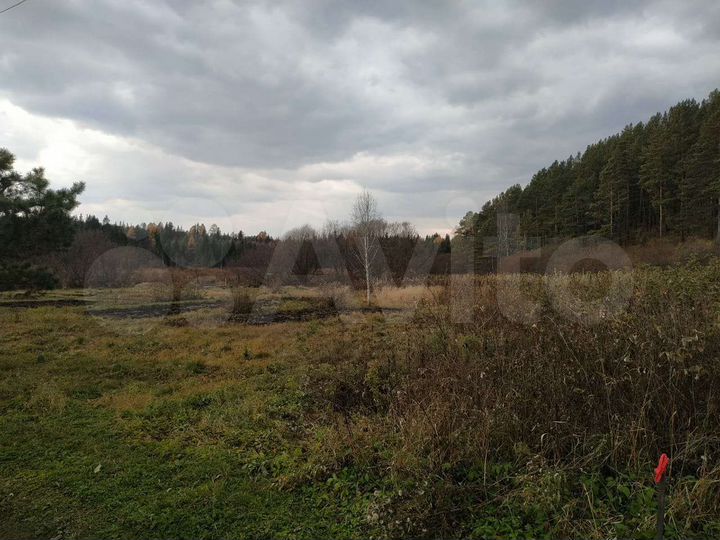 Участок 12 сот. (СНТ, ДНП)