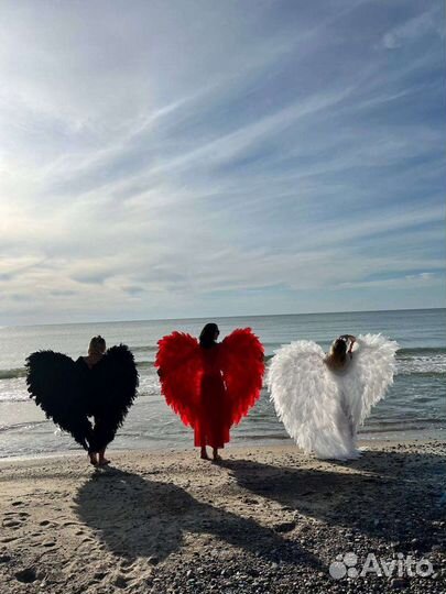 Крылья для фотосессии