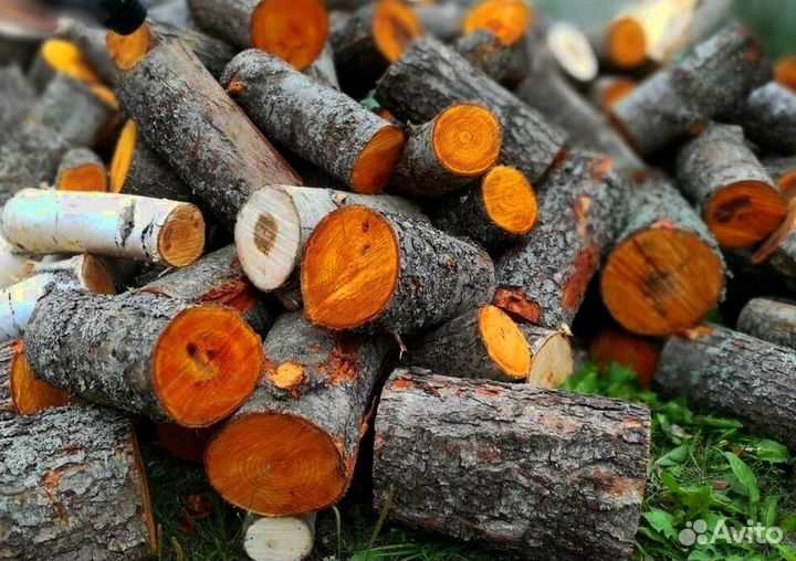 Дрова осина