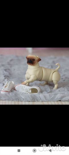 Шарнирная собака бжд мопс