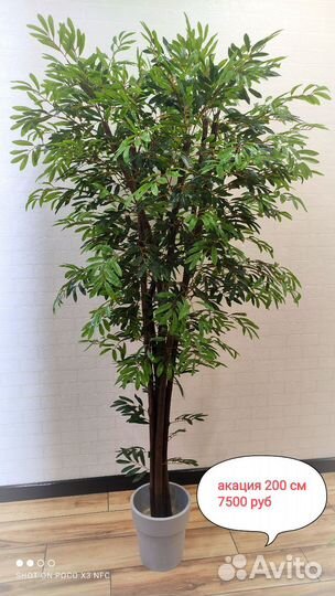 Искусственные деревья, пальмы, зелень