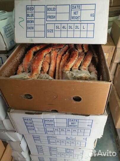 Конечности камчатского краба оптом и в розницу