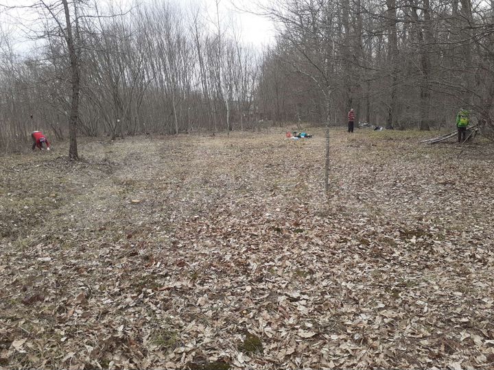 Участок 4,5 сот. (СНТ, ДНП)