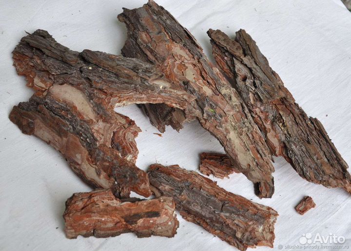 Кора сосны мульча