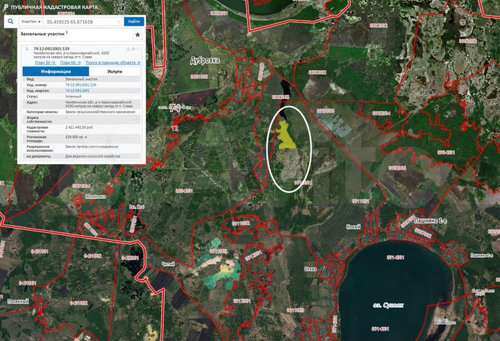 Участок 89,3 га (СНТ, ДНП)