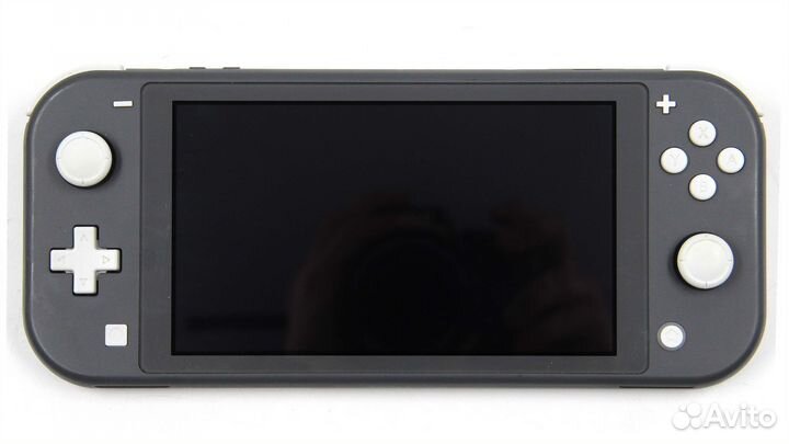 Nintendo Switch Lite hwfly