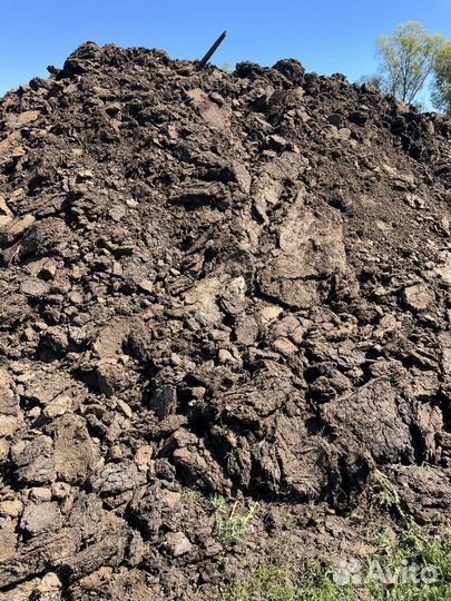 Новоз овечий перегной