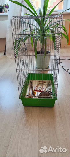 Клетка для птиц