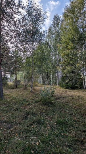 Дом 100 м² на участке 11 сот.