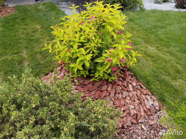 Кора, мульча сосна: 