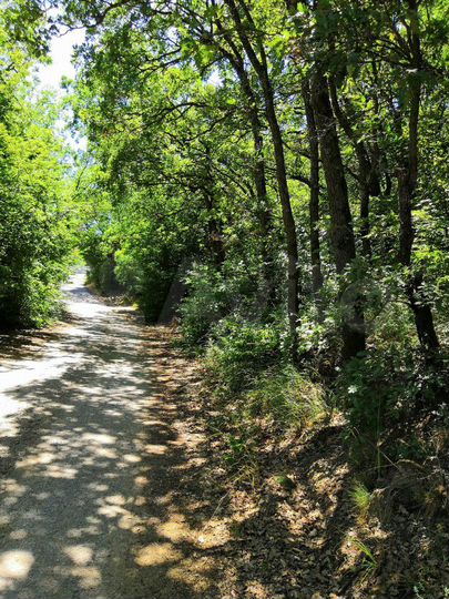 Участок 30 сот. (ИЖС)