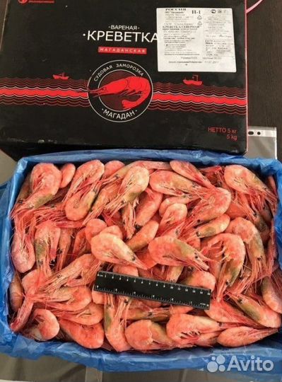 Креветка северная 60-80шт в кг Магаданрыба