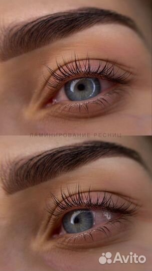 Мастер бровист