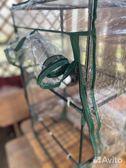 Парник на подоконник