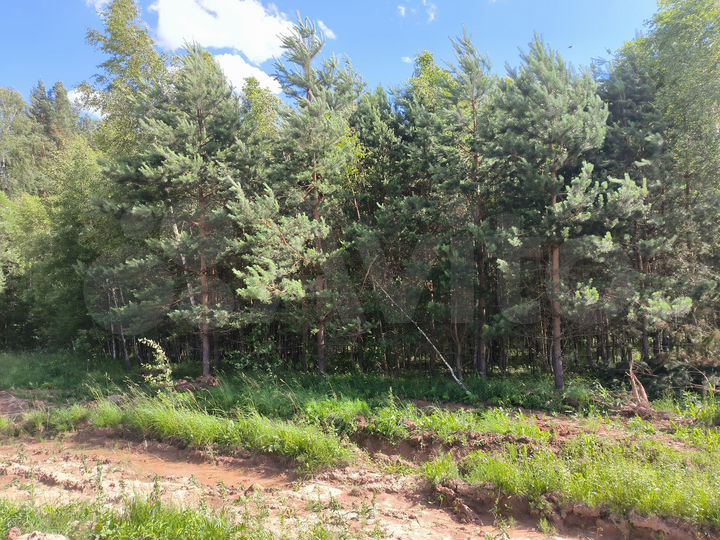 Участок 7 сот. (СНТ, ДНП)