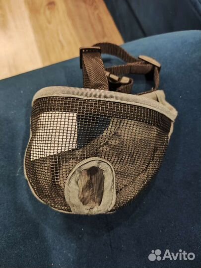 Намордник для французского бульдога