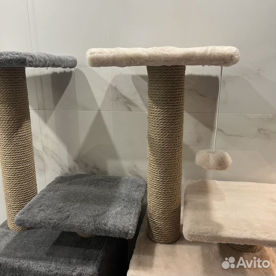 Когтеточка