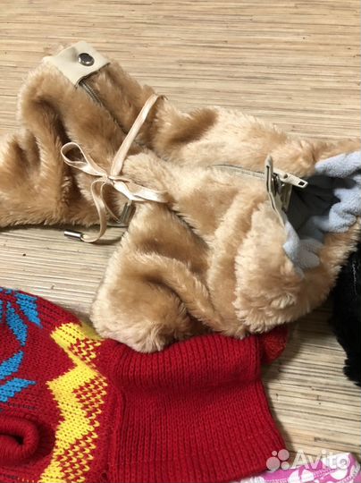 Одежда для маленьких собак