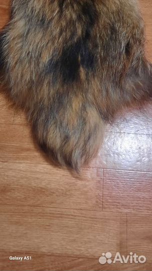 Шкурка енота