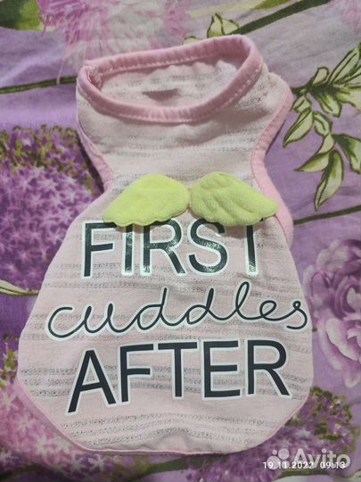 Вещи для маленьких собак