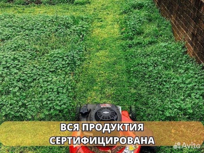 Укладка газона