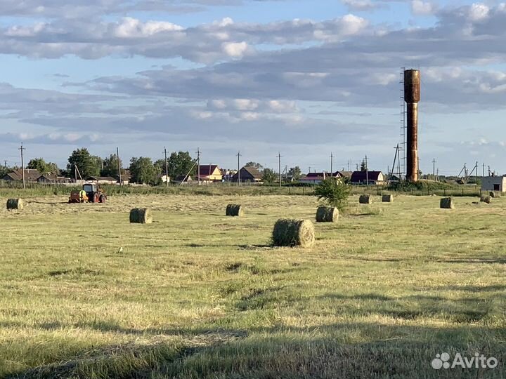 Сено в рулонах