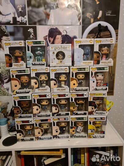 Funko Pop Stranger things Harry Potter