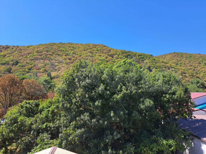 Гостевой дом у моря