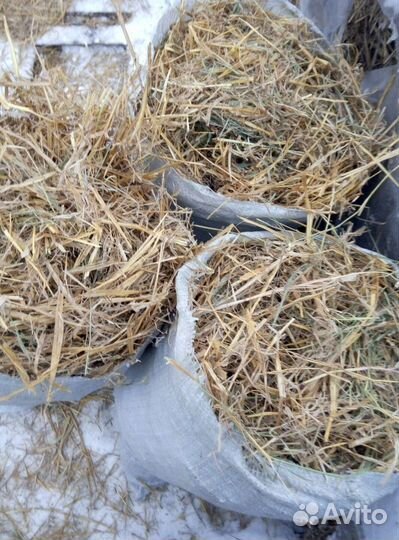 Солома,сено в мешках,золотистая