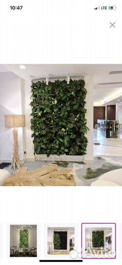 Фитомодуль boxsand