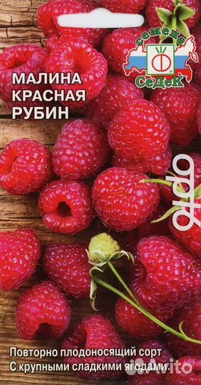 Малина сорт 