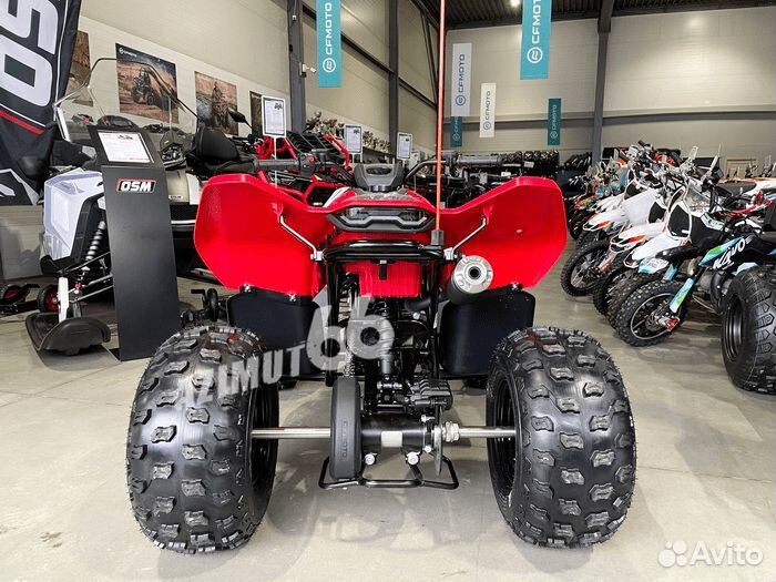 Детский квадроцикл Cfmoto Cforce 110 - рассрочка 0