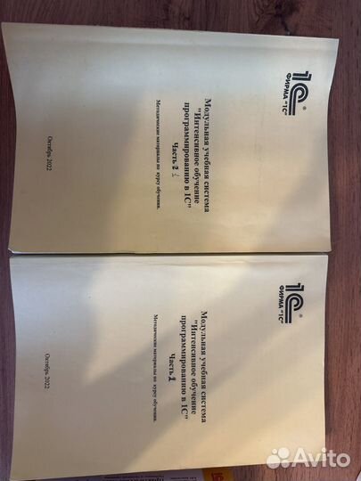 Практическое пособие разработчика 1С